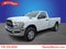 2024 RAM 2500 Tradesman Regular Cab 4x4 8' Box
